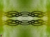 tribal